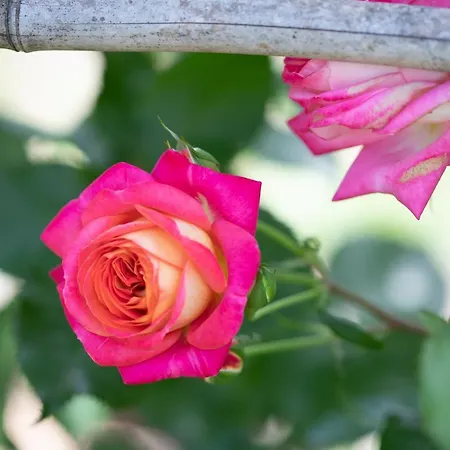 Huber Apart Otel Merano