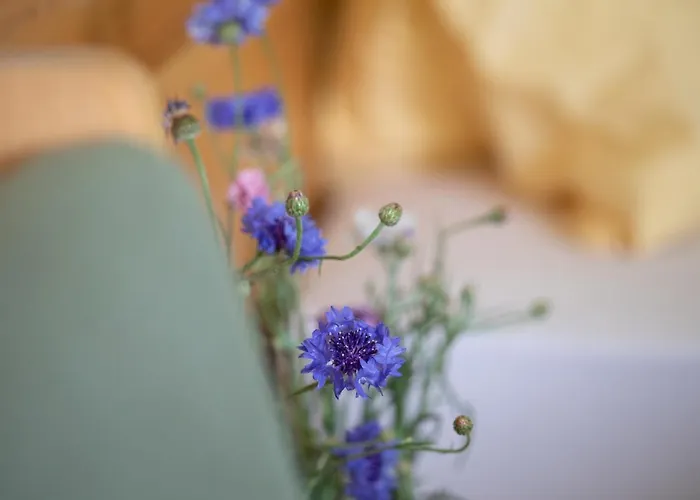 Huber Apart Otel Merano