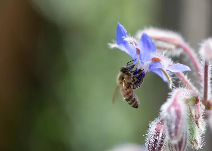 Апарт-готель Huber 2*