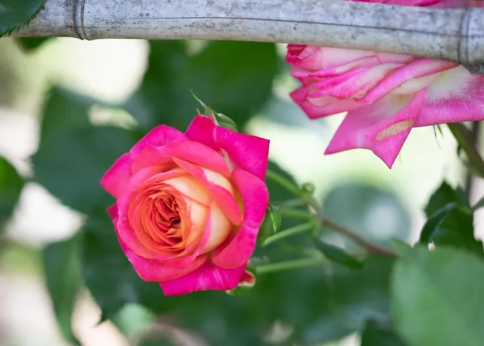 Huber Apart Otel Merano