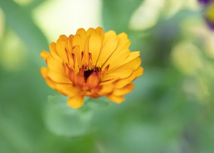 Huber 아파트호텔